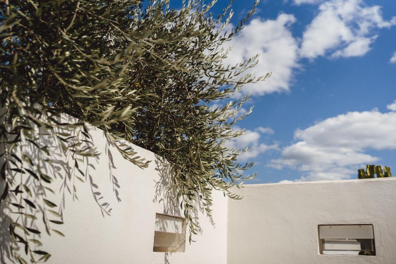 Le Ruve Bianche Apartment Vibonati Exterior foto